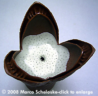 [Please click to enbiggen]