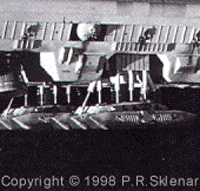 [What the legs should look like]